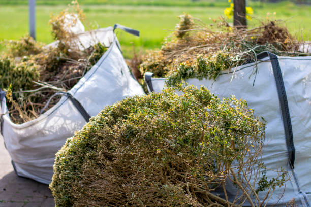 Best Same-Day Junk Removal  in Graysville, AL